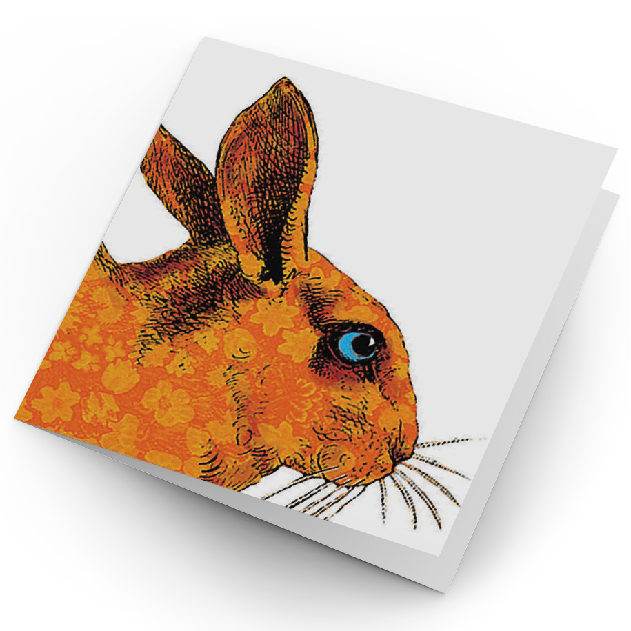 Orange Rabbit Card